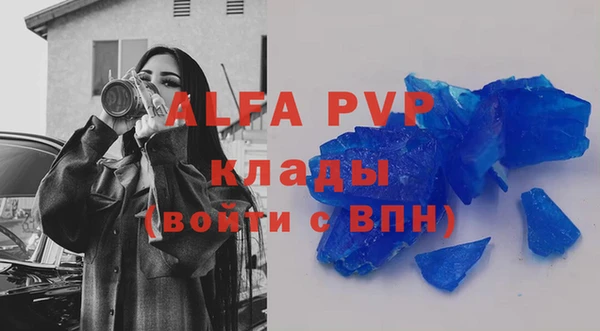 индика Верхний Тагил