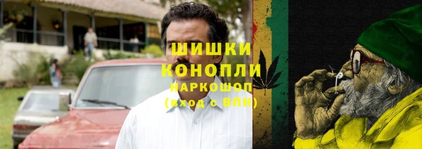 индика Верхний Тагил