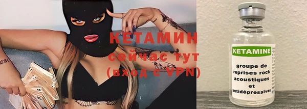 индика Верхний Тагил