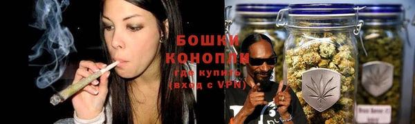 гашик Бронницы