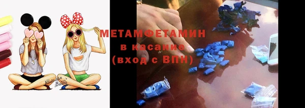 индика Верхний Тагил