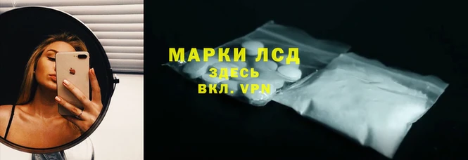 индика Верхний Тагил