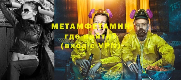 индика Верхний Тагил