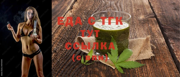 индика Верхний Тагил