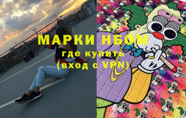 индика Верхний Тагил