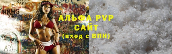 хмурый Пересвет