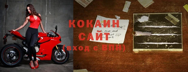 индика Верхний Тагил