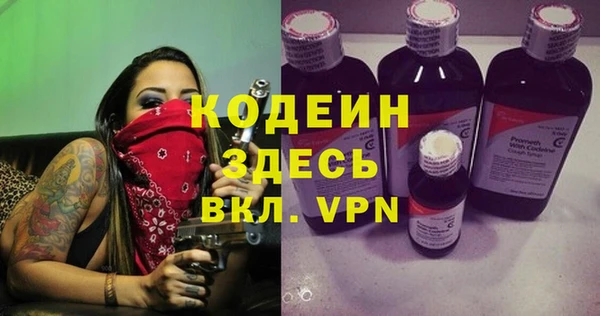 индика Верхний Тагил