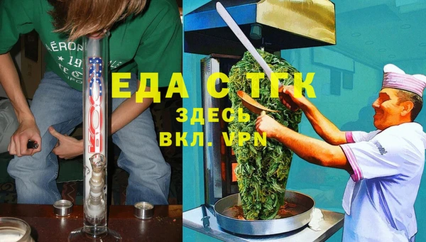 индика Верхний Тагил