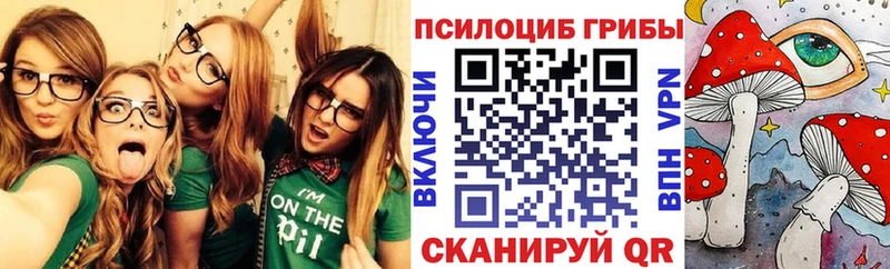 где продают Карабаш Галлюциногенные грибы Cubensis